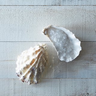Cooking Expert-Approved Kitchenware from Provisions - Photo 9 of 10 -