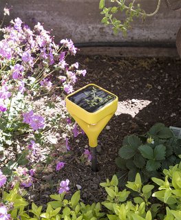 Willson uses Edyn, a smart garden sensor, to track moisture, temperature, fertilizer, and sunshine levels. It automatically updates irrigation patterns based on its findings.