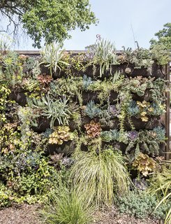 Living Green Walls 101: Their Benefits and How They're Made - Photo 5 of 9 -