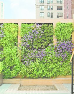 6 Easy Ways to Get Your Garden Ready For Spring - Photo 2 of 6 -