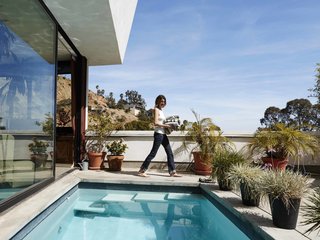 Their property features an abundance of local flora and fauna. "We have deer that come from Griffith Park through our garden," Judith says.