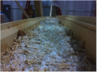 Mushroom Insulation by Ecovative.