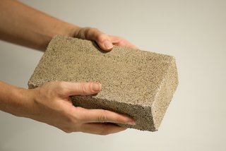 Biobrick by bioMASON.