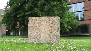 Reinforced Wood Wool Cement Board by Dutch Design Initiative.