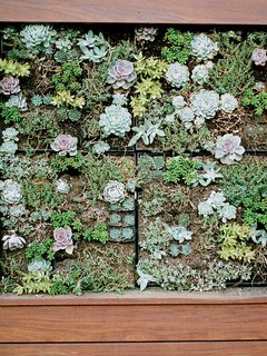How to Make Your Garden Water-Free - Photo 2 of 3 -