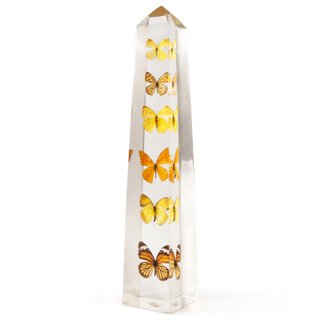 Creativity and Constraint: A City Modern Preview - Photo 6 of 9 - The Lucite Butterfly Obelisk is a unique home accent allowing a view of various butterflies from all angles.