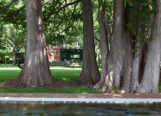 Small and Modern: A Family Lakeside Getaway in Texas - Photo 5 of 6 -