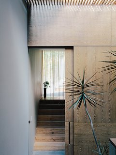 A Lush Retreat With a Sheltered Rooftop Pool in Mexico City - Photo 4 of 14 - Oak veneer lines the stairwell in between the master bedroom and the children’s wing.