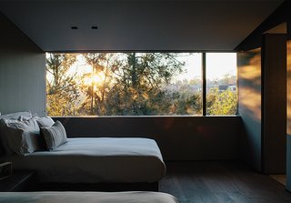 A Lush Retreat With a Sheltered Rooftop Pool in Mexico City - Photo 12 of 14 - A window in another bedroom overlooks protected woodland.