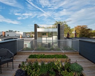 On the lower roof, cedar decking and flower beds define one of several outdoor gardening spaces. Part of her ongoing research into the livability of cities, Fitzgerald aimed to create landscaped areas that were "aesthetic, aromatic, educational, and productive." The deck is bordered by an expanded aluminum mesh railing and black metal corrugated panels.