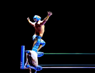 City Guide: 10 Places to Visit in Mexico City - Photo 4 of 7 - Lucha Libre<br><br>"The lucha libre (professional wrestling) at the Arena Mexico is an event not to be missed on a visit to Mexico City if you happen to be here on a Friday night. A mix between a sporting event and a circus performance, it’s the ideal place to get all your work week’s stress out by yelling at the rudos (bad guys) or the tecnicos (good guys), and be amused by the interaction of the crowd with every member in the ring."