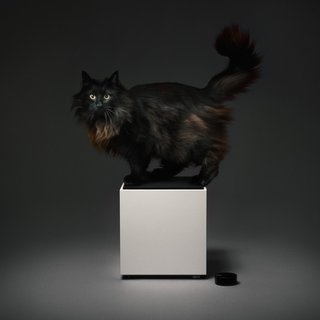 A Classic 1970s Speaker Gets New Life for a Modern Audience - Photo 1 of 4 -