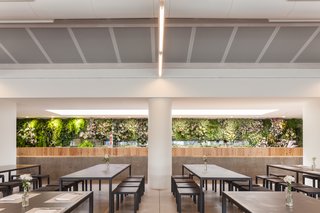 Inside, a large planting feature designed by Michael Hellgreen of Vertical Garden Design clads the kitchen block. "The idea behind the vertical garden was to bring a natural element to the space, since the overall look was very minimal," architect Duarte Caldas says.
