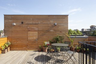 A Clever Sunken Roof Fills a London Terrace House with Light - Photo 7 of 7 -