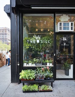 The Store That's Changing How City-Dwellers Buy Plants - Photo 4 of 6 -