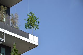 Pair of Skyscrapers Sneak a 2,800-Plant Park into Milan - Photo 4 of 5 -