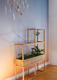 A sculptural terrarium brings the landscape indoors. This two-tier wooden box planter is but one of many designs by Plant-in City, a cooperative of artists and technologists who create a series of intricate, micro-ecosystems of "green architecture."