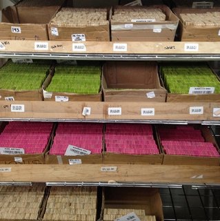 A Toy Company's Vision to Help Honduras by Selling a Lot of Blocks - Photo 1 of 5 -