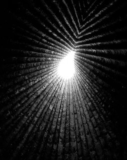 A New Los Angeles Exhibition Celebrates the Architectural Photography of Hélène Binet - Photo 5 of 8 -