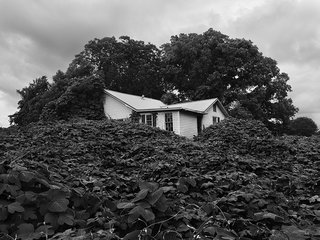 When Art and Architecture Meet, the Results Can Be Wild - Photo 5 of 8 -