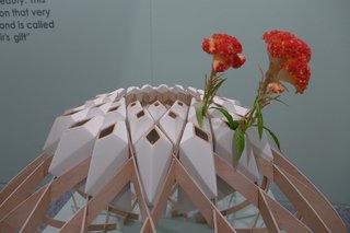 Katinka Versendaal's series of ceramics and vases are derived from mathematical sequences found in nature.