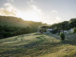Set on five acres, the three pavilions total 2,900 square feet. They gently fan out in a semicircle "like the charms on a necklace," Suzanne says. The pair recruited landscape designer Bernard Trainor to help integrate the house with the land.