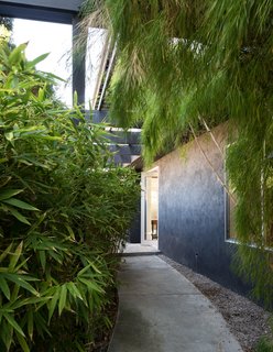 5 Reasons Why Landscaping and Bringing Plants Into Your Home Is So Valuable - Photo 4 of 11 -