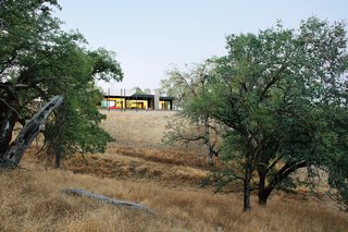 Though the Burtons are landscape architects, they took an intentionally hands-off approach to their own land, which is part of the 1,800-acre Long Valley Ranch, a former cattle ranch. "We made very few moves, beyond planting fifty olive trees and some native shrubs and grasses," says Bill. "We wanted nothing in the landscape to be edible or pretty, nothing to attract animals to the house." Nevertheless, they’ve spotted plenty of fauna thanks to motion-activated "trail cams" they use to spy on local wildlife. To date they’ve snapped photos of mountain lions, bobcats, wild pigs, and a bear.