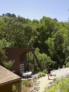 There's little concern about privacy considering the canopy of trees that surrounds the house. Alexander, and the chickens, take advantage of their sunny Northern Californian clime. 