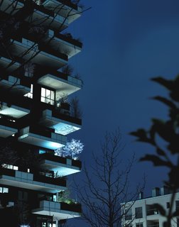 The 27-story Bosco Verticale is planted with more than 2,000 plants and 900 trees—ranging from 10 to 30 feet tall—supported by steel-reinforced concrete balconies. 