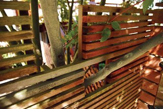 A slatted Western red cedar fence screens a neighbor’s yard, adding a measure of privacy while permitting branches from their Japanese maple to cross the property line. 