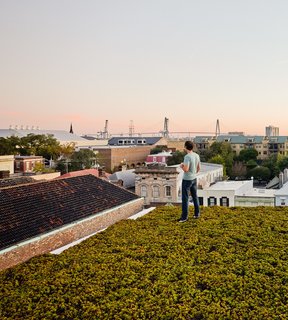 Twenty species of drought-resistant succulents, punctuated by solar panels, carpet the top of the home. Green Roof Outfitters installed the plants in modules. 