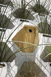 The prototype green wall system at the University of Texas at Austin isn't just a home for plants—it's also an ecosystem for local fauna. 