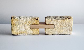 MycoWorks’s fungus bricks. 