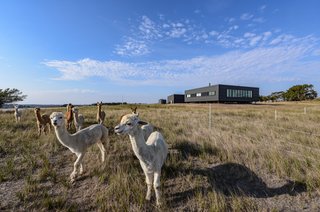 House of the Week: Living the Off-the-Grid Dream - Photo 1 of 2 -