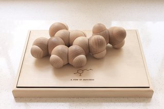A Form of Happiness is the neurotransmitter dopamine designed as a wooden puzzle. The puzzle is constructed from poplar wood and magnets to connect each molecule. 