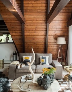 One Couple's Imagination Goes Wild at a 1967 Weekend Retreat - Photo 2 of 12 - Their beagle, Jack, rests on a Kivik sofa from IKEA; behind is a tripod lamp from JC Penney’s home collection. An antelope horn is propped on a Lucite stand. 