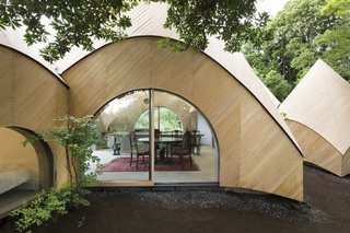 Detail of the kitchen's curved wall made from concrete and wrapped in Japanese cypress. 