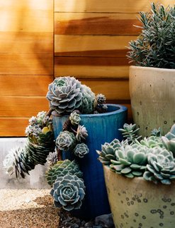 Easy-to-maintain Mexican Feather Grass and succulents have reduced the yard’s water consumption.