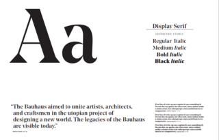 Dwell's New Look - Photo 1 of 1 -