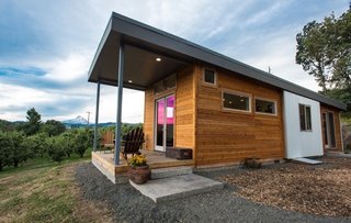 Project Name: Orchard