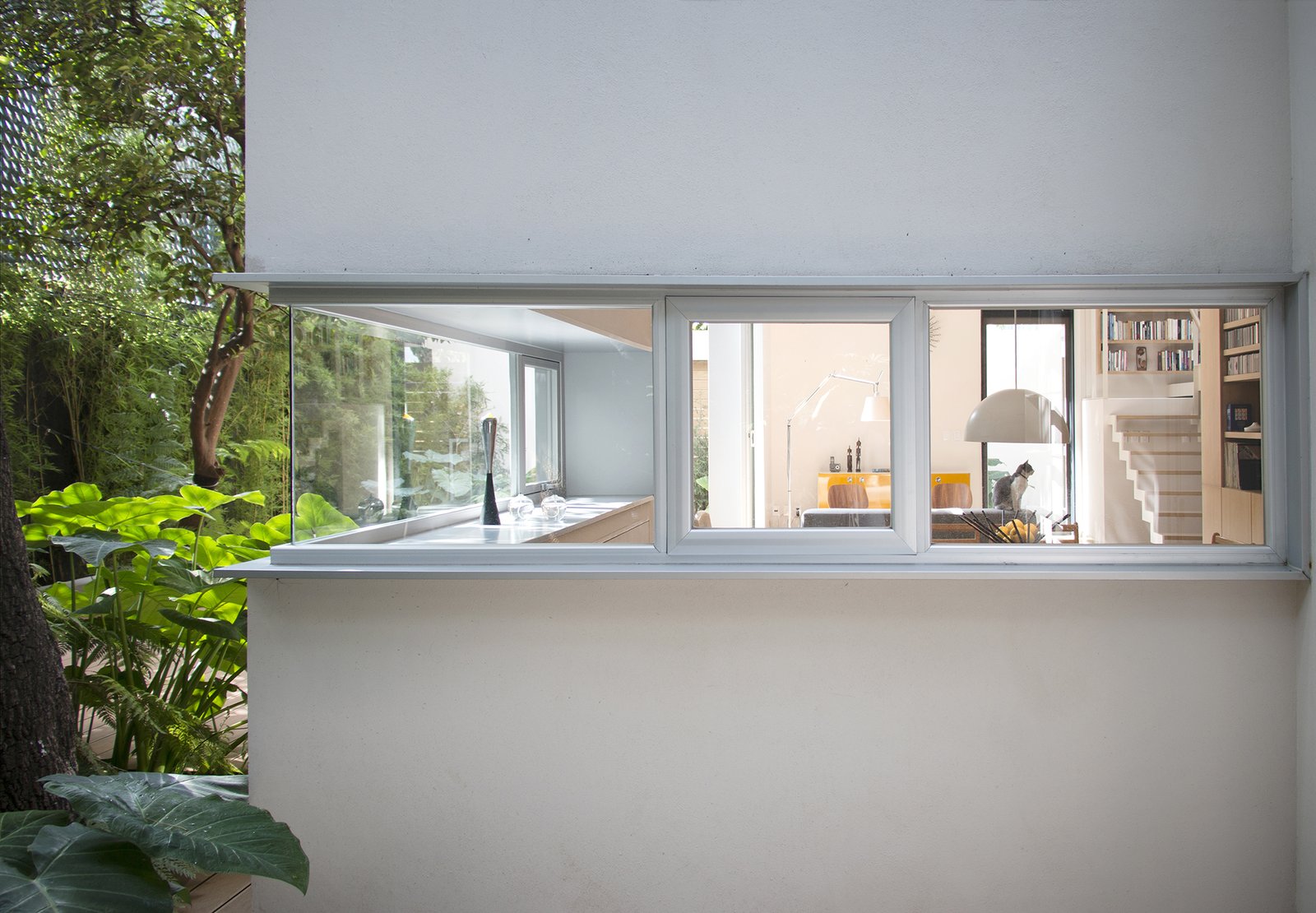 Photo 1 of 12 in Retired Couple Build Modern in Mexico City Dwell