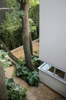 Filters purify rainwater that drains from the roof or through the wood-plastic composite deck. <br>A cistern collects the water for indoor use.