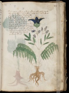 Publisher: Unknown (15th Century)