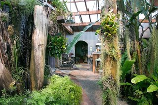Creatives of the Bay Area Series: Evan Shively and Madeleine Fitzpatrick - Photo 4 of 10 - When you walk in the front door, you enter into a magical oasis. Shively referenced The Moody Blues' 1968 song, "Dr. Livingstone, I Presume," when he explained the idea of the entrance. "The operating principle is that when you enter through the front door, you're in the jungle—but through the jungle, you see a fire burning stove. You're drawn into to the space," he says. 