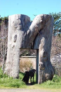 Creatives of the Bay Area Series: Evan Shively and Madeleine Fitzpatrick - Photo 1 of 10 - Their home is first accessed through an enormous front gate that Shively made himself out of a eucalyptus tree.