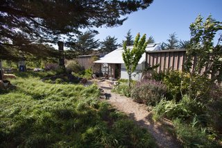 Creatives of the Bay Area Series: Evan Shively and Madeleine Fitzpatrick - Photo 3 of 10 - Once you pass through the front gate, the main entrance to the house leads into a metal greenhouse, which connects the two wings of the house. A wood sculpture by David Nash sits to the left of the entrance.