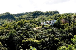 This view of Villa Arboleda shows the incredible amount of rich forest that surrounds the hillside escape.