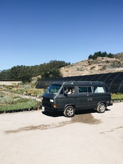 What You Need to Know When Considering Working With a Landscape Designer - Photo 4 of 6 - Shopping at the nursery