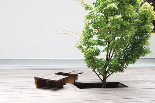 15 Brilliant Designs That Work Around Nature - Photo 7 of 15 - Because the Japanese maple in the courtyard had to be planted before the ipe deck was laid, Kurath designed a small removable panel to allow access to the tree’s base. The Shozis can pull up the bit of decking to tend to the tree and replace it when they’re through. And because the boards line up perfectly, only the gardener need know it’s there.